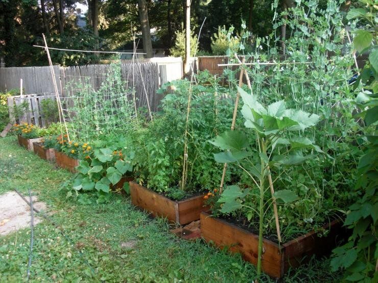 ������ ������ ��� ������� ������ �������