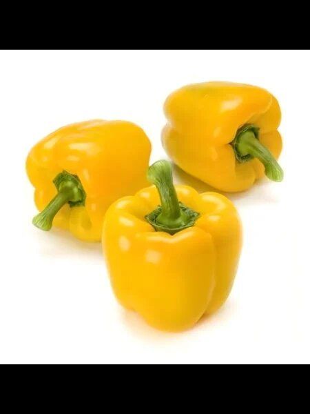 ����� ������: ��� ������ ���������� ����� ����������� �������