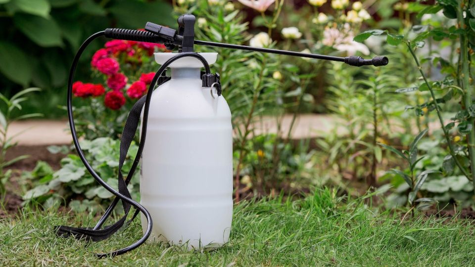 ��������: ��� ����� �� ������������� � ��� �������� � ������