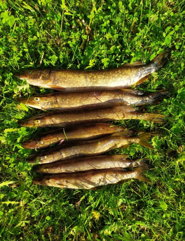 ���������� � ���������� ���������: ������-����� �� ������ ������� �����