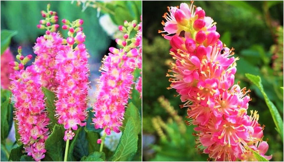 ���������� ��������� ��� �������� ������� ����: ����������� �������� � ������