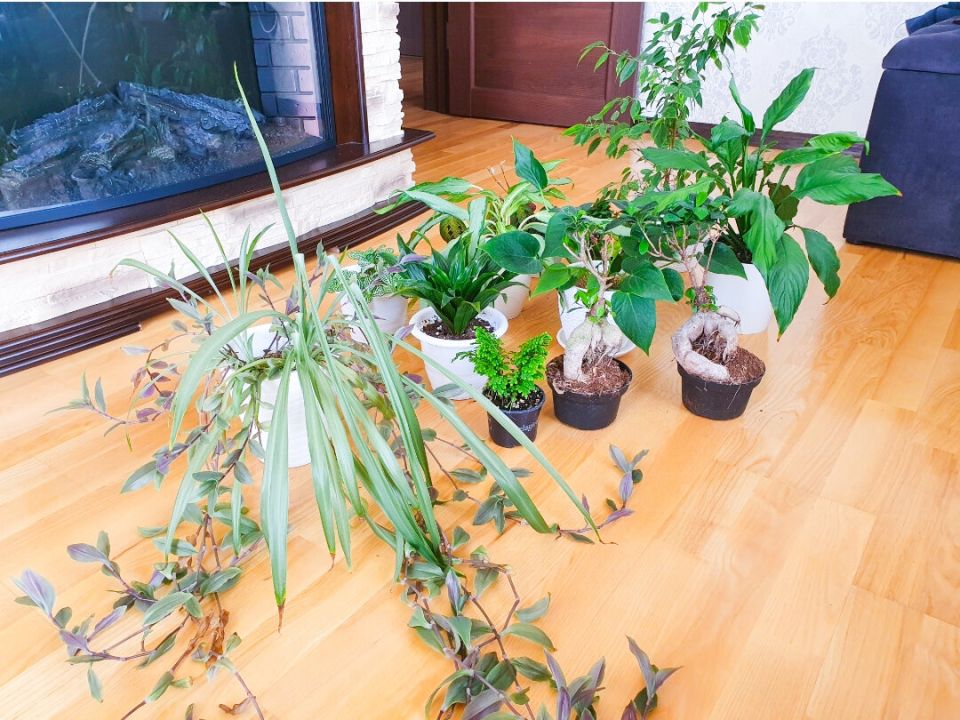 ��� ������ ���� ����� ������ ��� ��������� ����� ���������