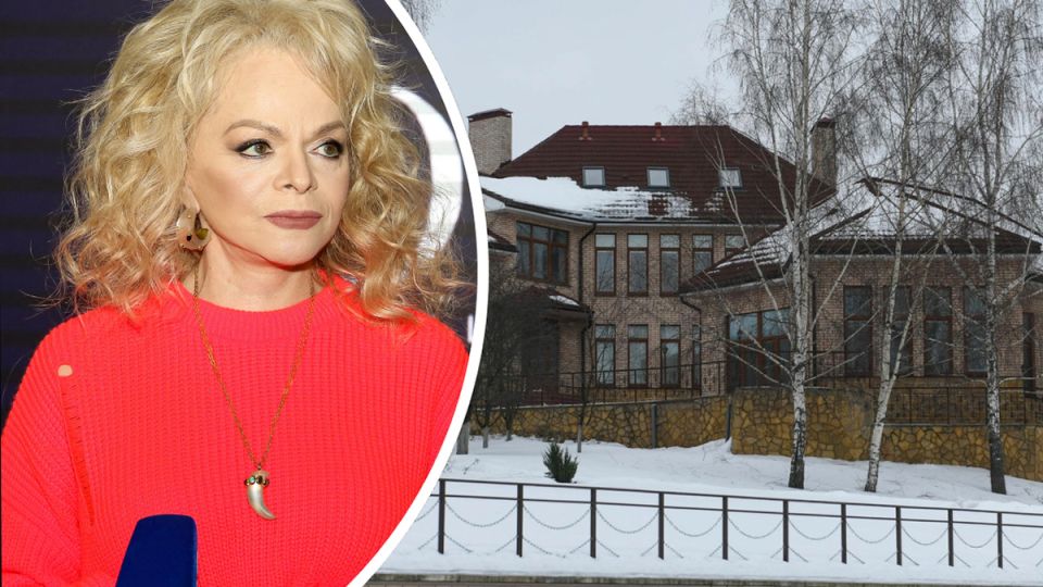 Героиня скандала: как Лариса Долина разбудила общественные страсти в Протасово