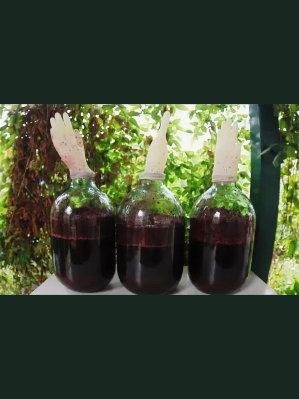 ��������� ��������� ����